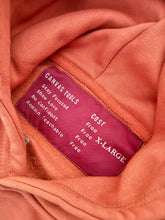 Load image into Gallery viewer, Art By Chicago - Salmon Unisex Hoodie
